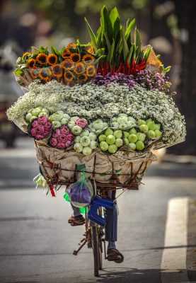 A Hanoi street vendor carrying a bicycle full of fresh flowers, capturing the charm of Vietnam’s street life and daily 