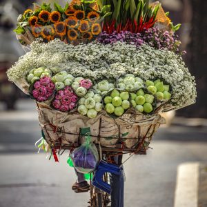A Hanoi street vendor carrying a bicycle full of fresh flowers, capturing the charm of Vietnam’s street life and daily hu