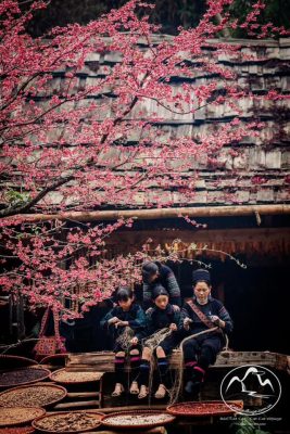 Local ethnic minority people in Sapa showcasing vibrant traditional clothing and handicrafts